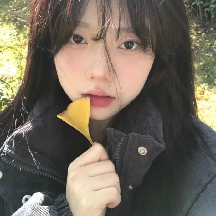 不完美的正义