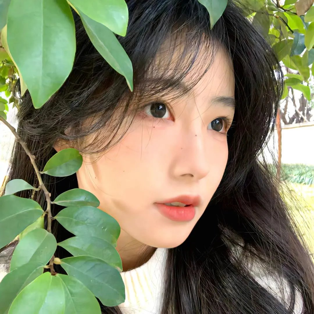 燃烧的玫瑰